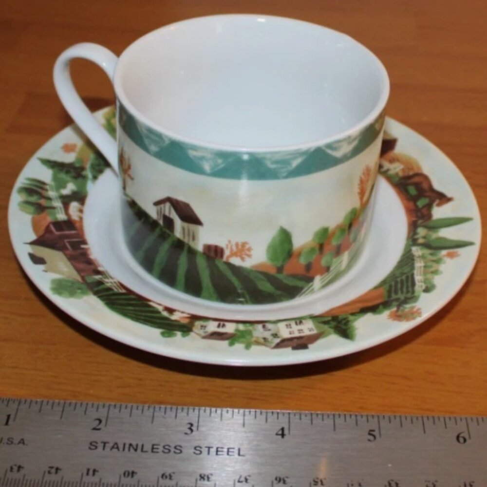 Country Life Cup and Saucer Faberware by Retroneu 333A by Hannah Green '94